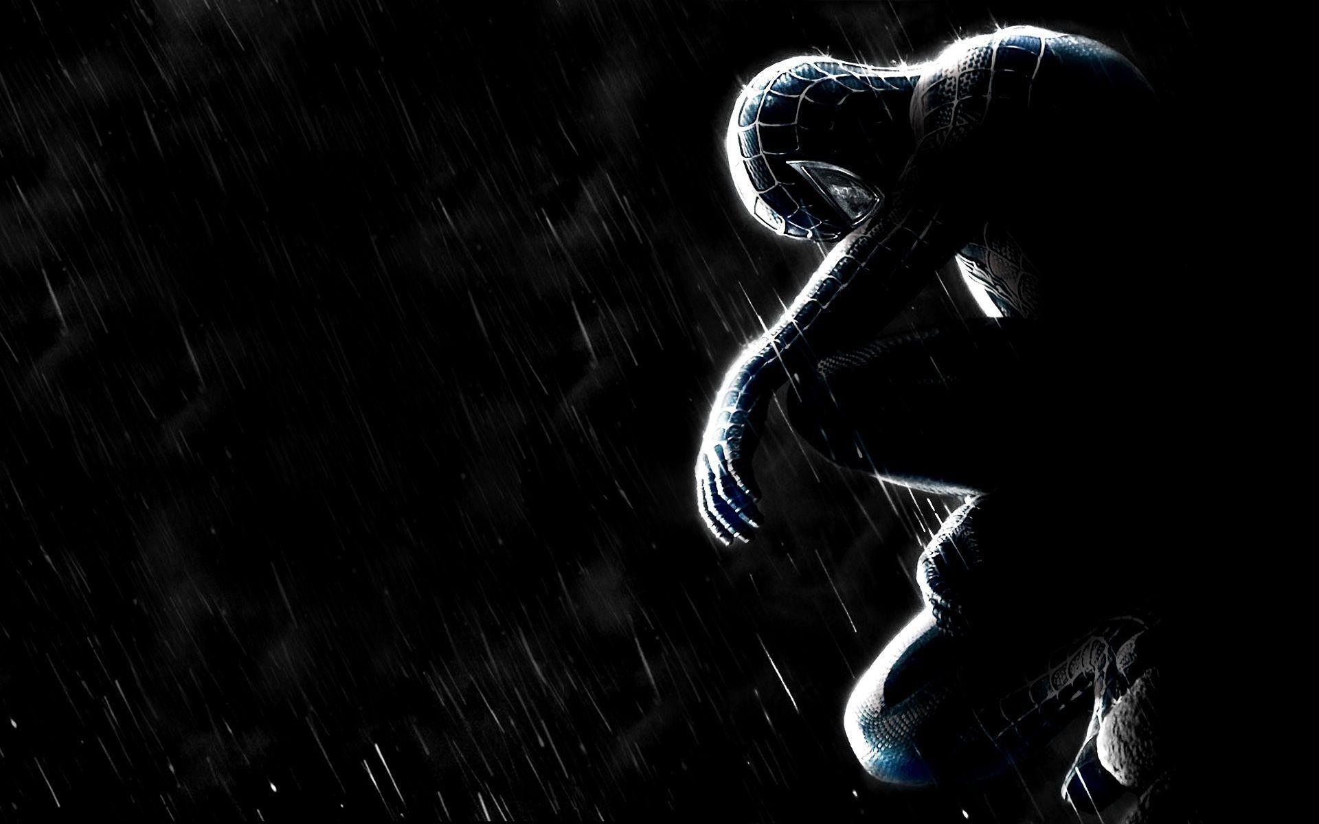 Black Spider Man Wallpapers Top Free Black Spider Man Backgrounds