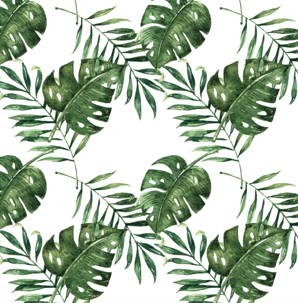 Tropical Leaf Wallpapers Top Free Tropical Leaf Backgrounds