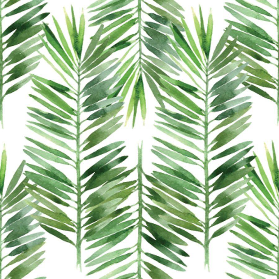 Watercolor Palm Leaves Wallpapers Top Free Watercolor Palm Leaves