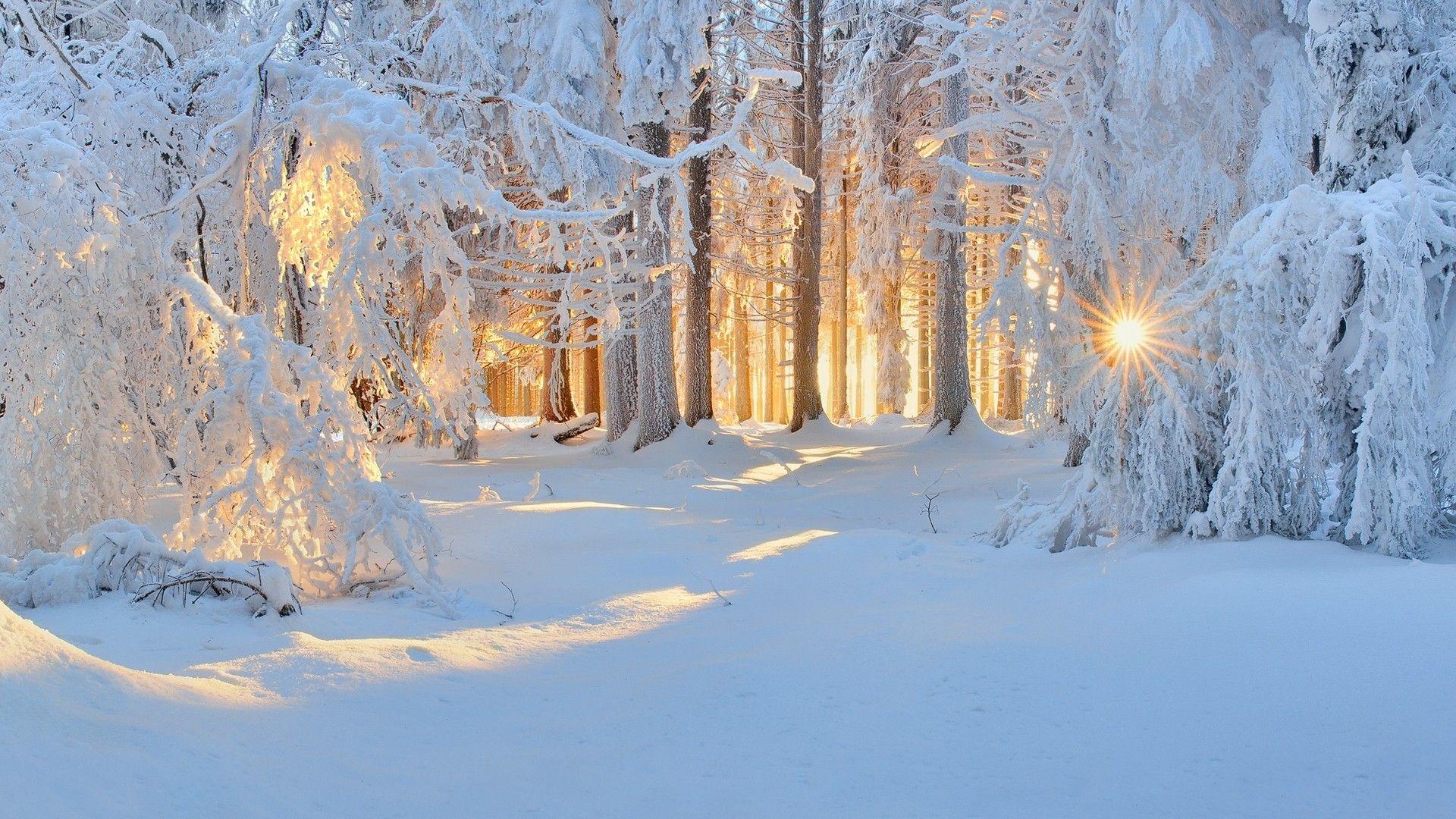 Snow Sun Wallpapers Top Free Snow Sun Backgrounds Wallpaperaccess