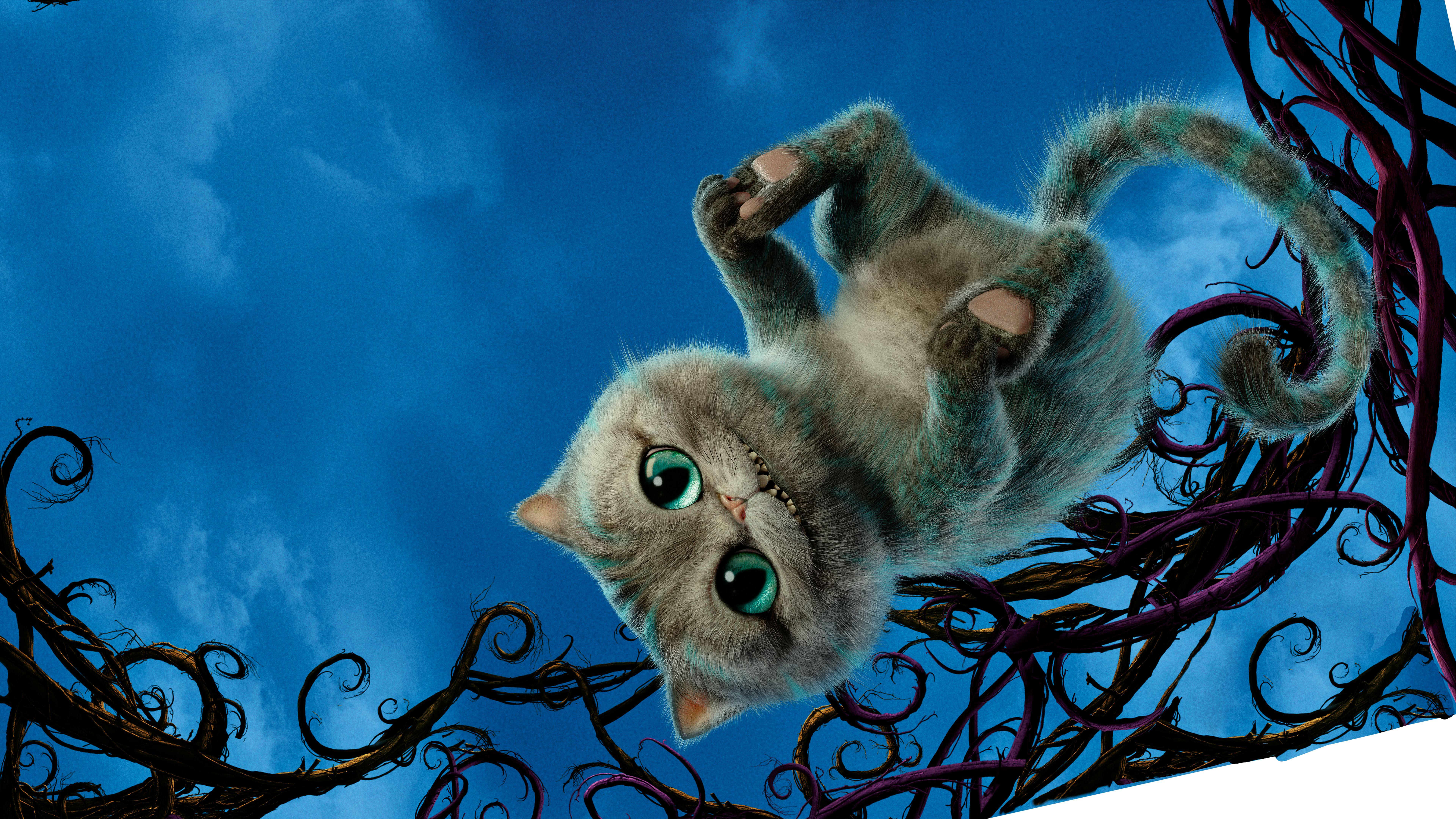 Alice In Wonderland Cheshire Cat Wallpapers Top Free Alice In