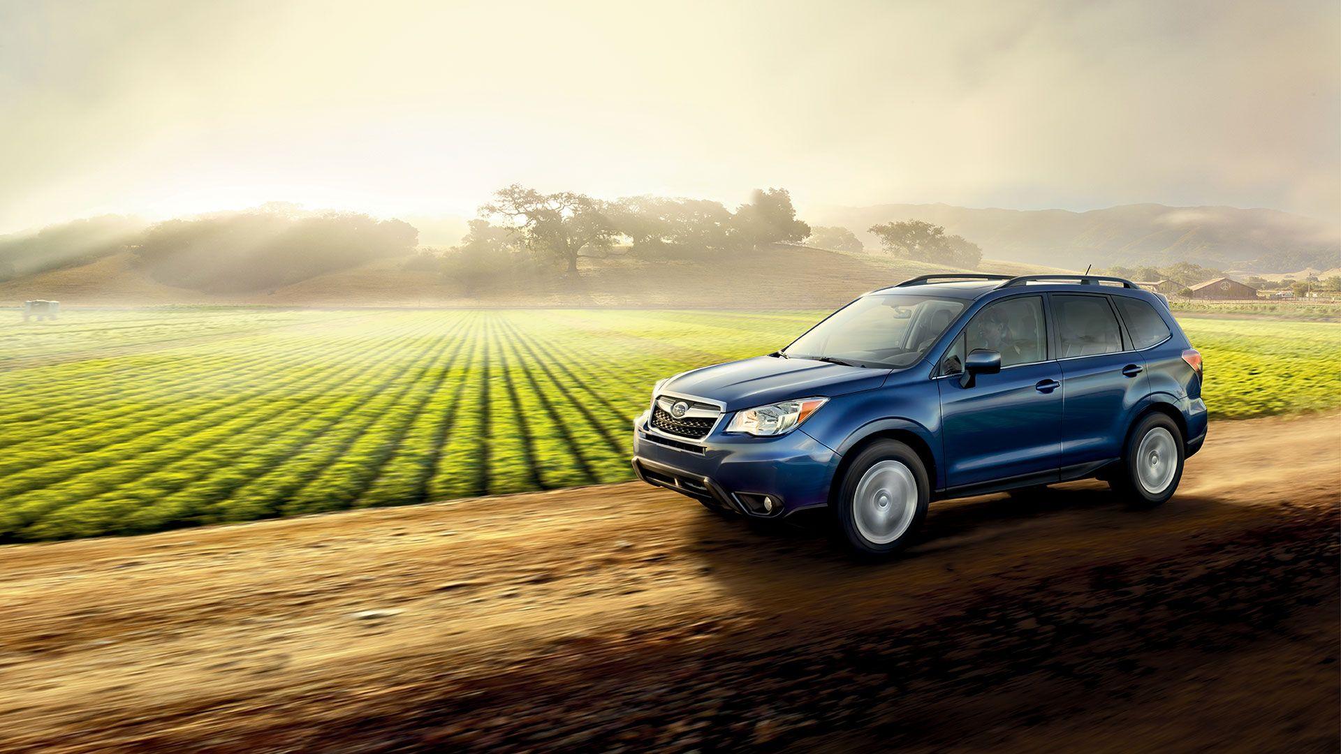 Subaru Forester Wallpapers Top Free Subaru Forester Backgrounds