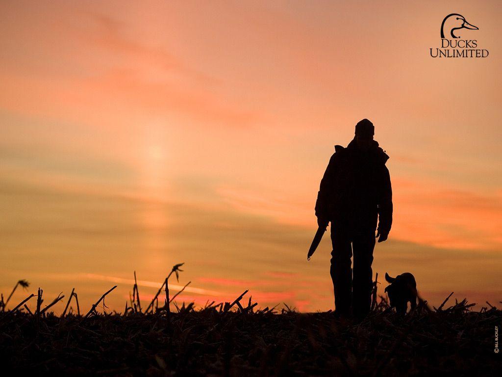 Upland Bird Hunting Wallpapers Top Free Upland Bird Hunting