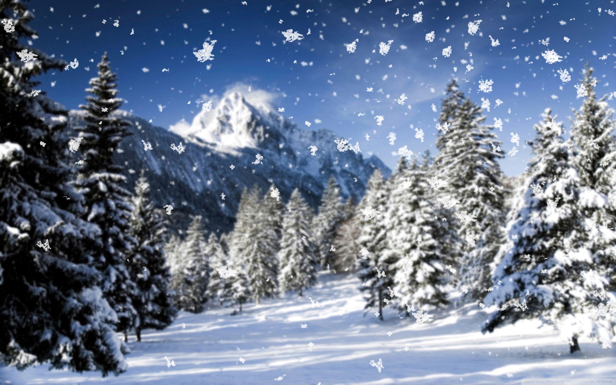 Snowing Wallpapers Top Nh Ng H Nh Nh P