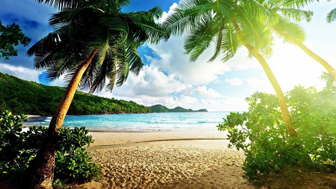 Tropical Paradise Desktop Wallpapers Top Free Tropical Paradise Desktop Backgrounds