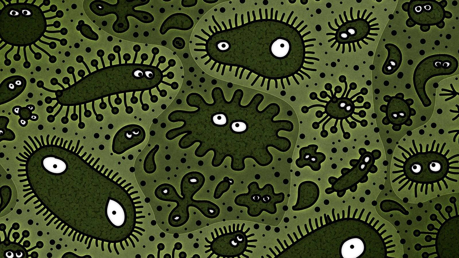 Microbiology Wallpapers Top Free Microbiology Backgrounds