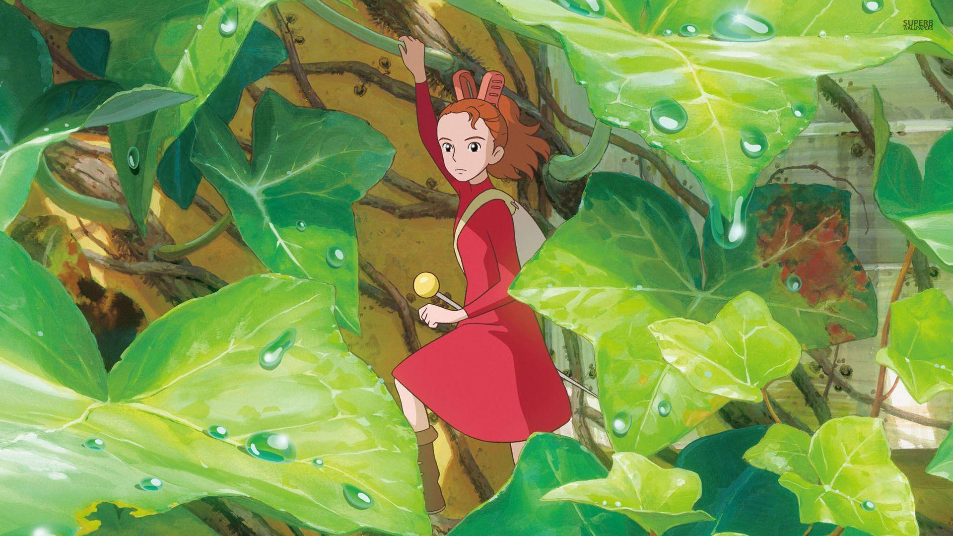 Arrietty Wallpapers Top Free Arrietty Backgrounds Wallpaperaccess