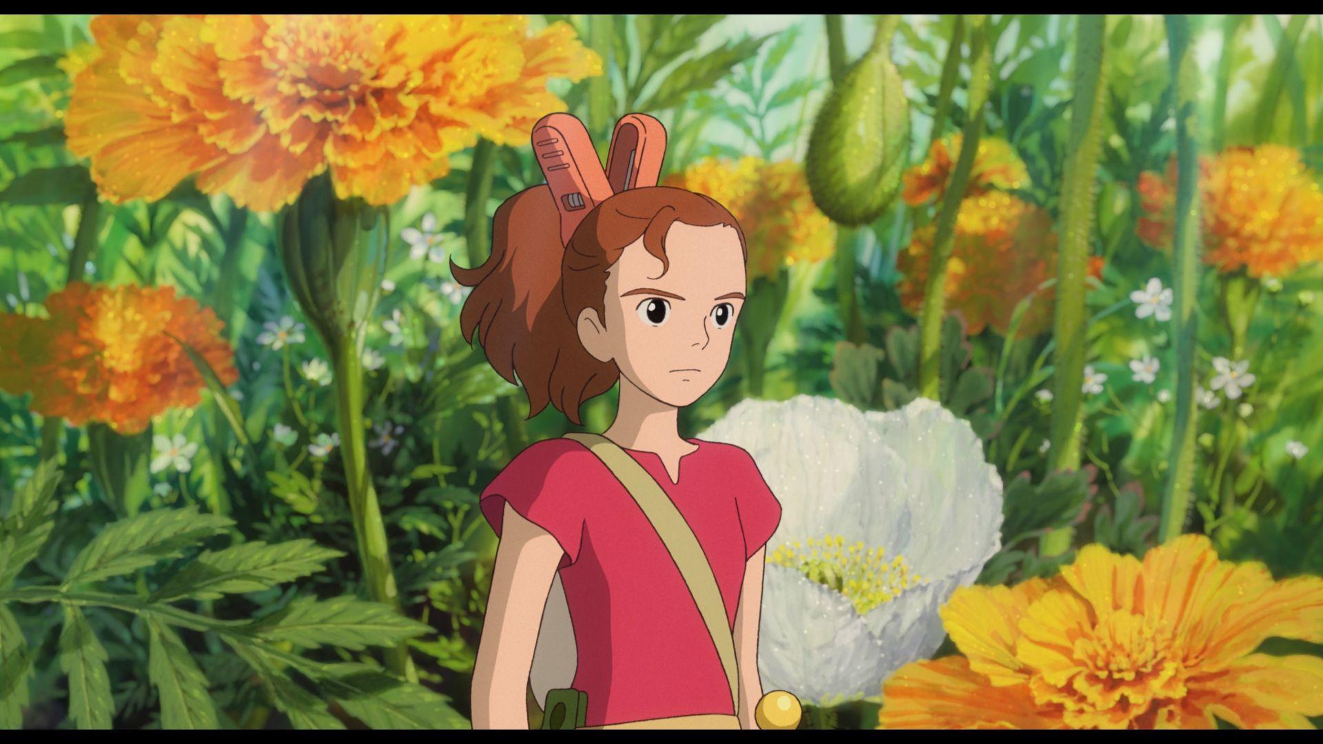 Arrietty Wallpapers Top Free Arrietty Backgrounds WallpaperAccess