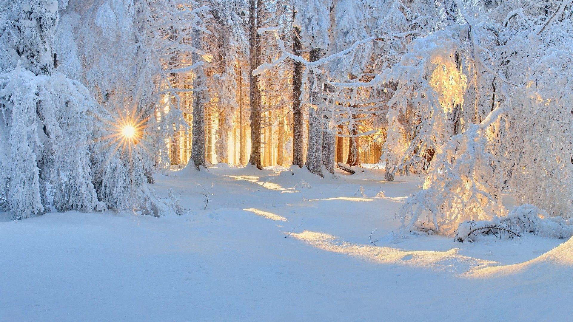 Winter Snow Landscape Wallpapers Top Free Winter Snow Landscape