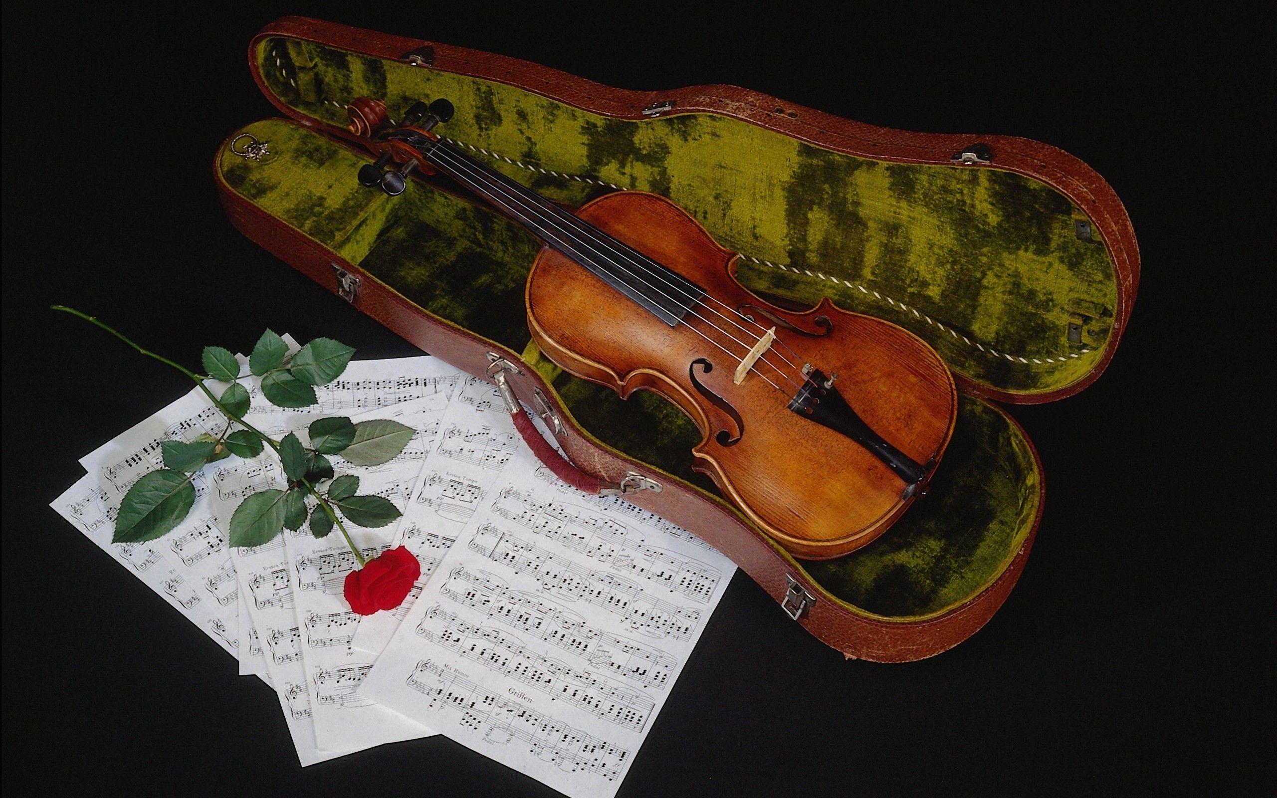 Violin Roses Wallpapers Top Free Violin Roses Backgrounds