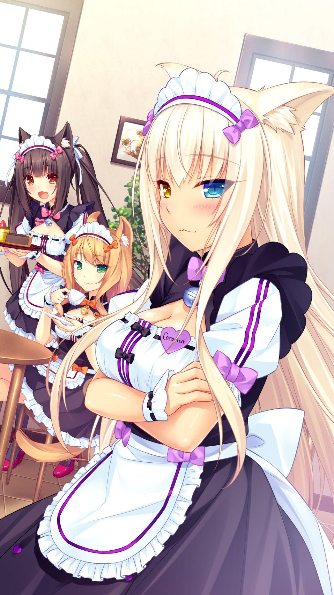 Nekopara Wallpapers Top Free Nekopara Backgrounds Wallpaperaccess My Xxx Hot Girl