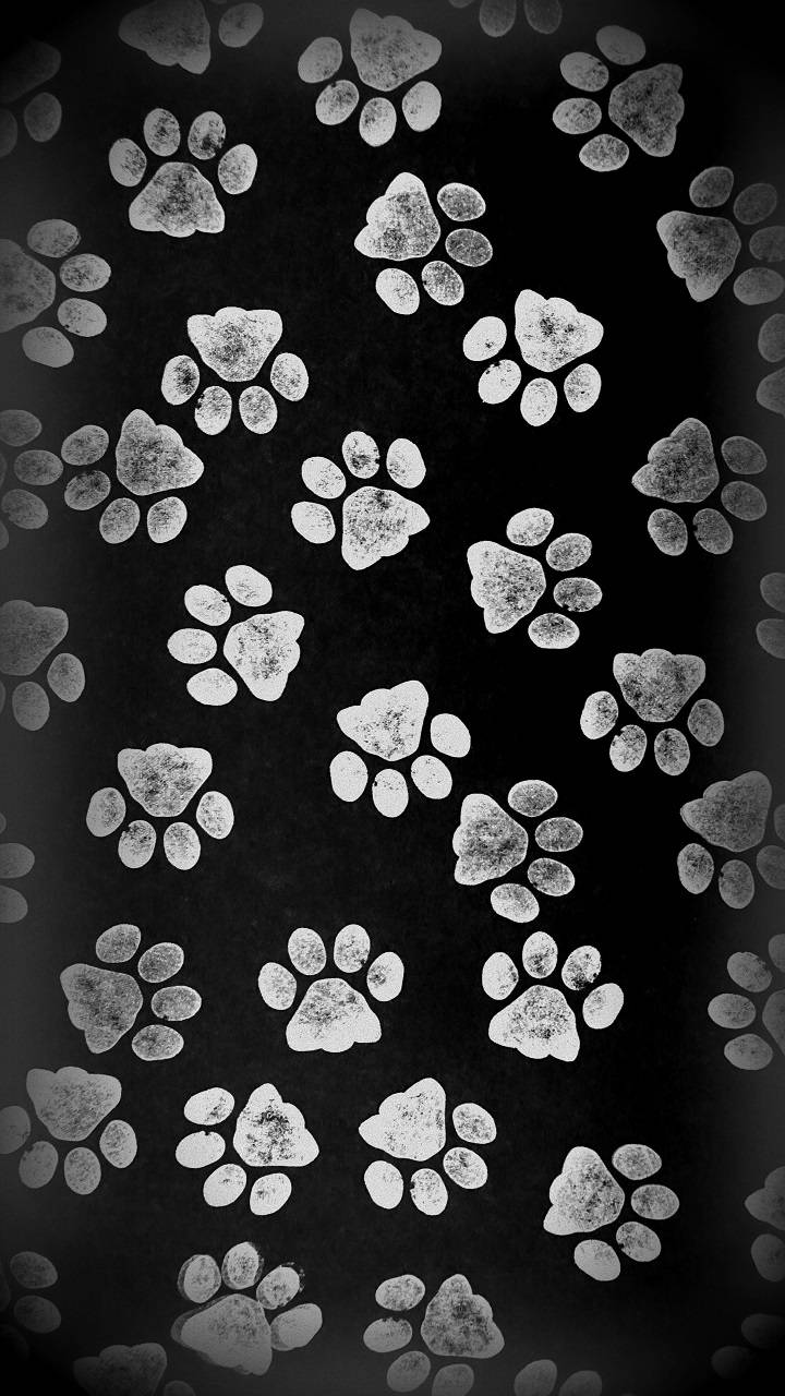 Cat Paw Print Wallpapers Top Free Cat Paw Print Backgrounds