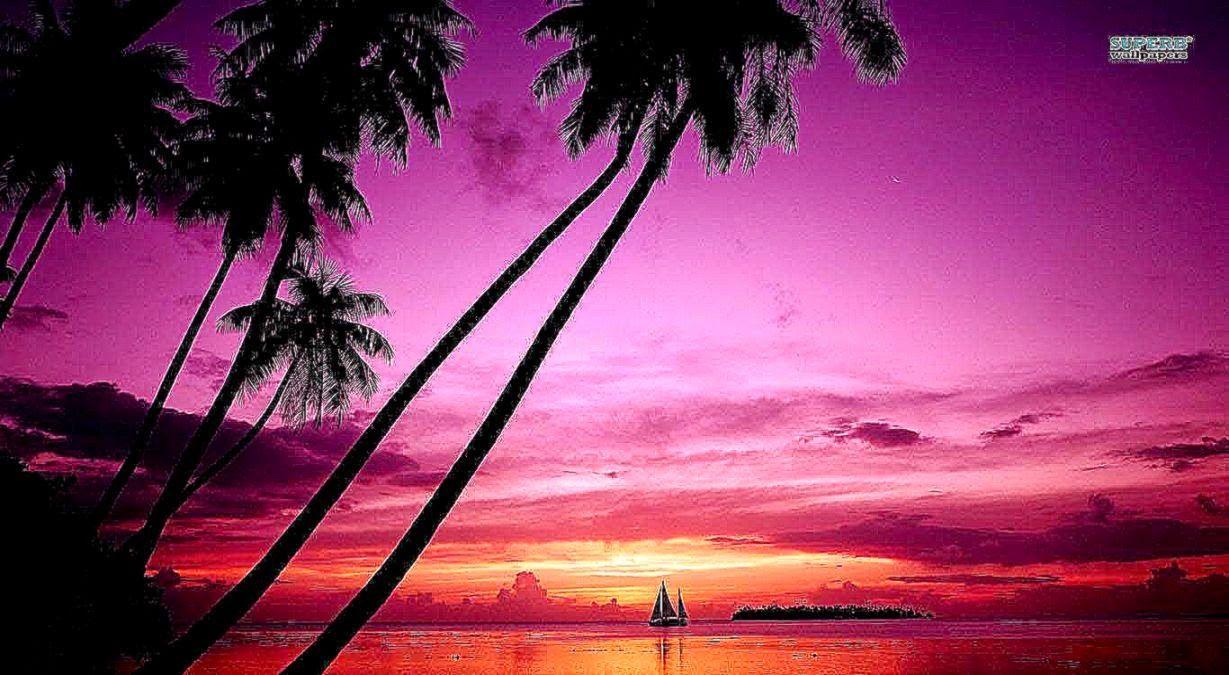 Pink Beach Sunset Desktop Wallpapers Top Free Pink Beach Sunset Desktop Backgrounds