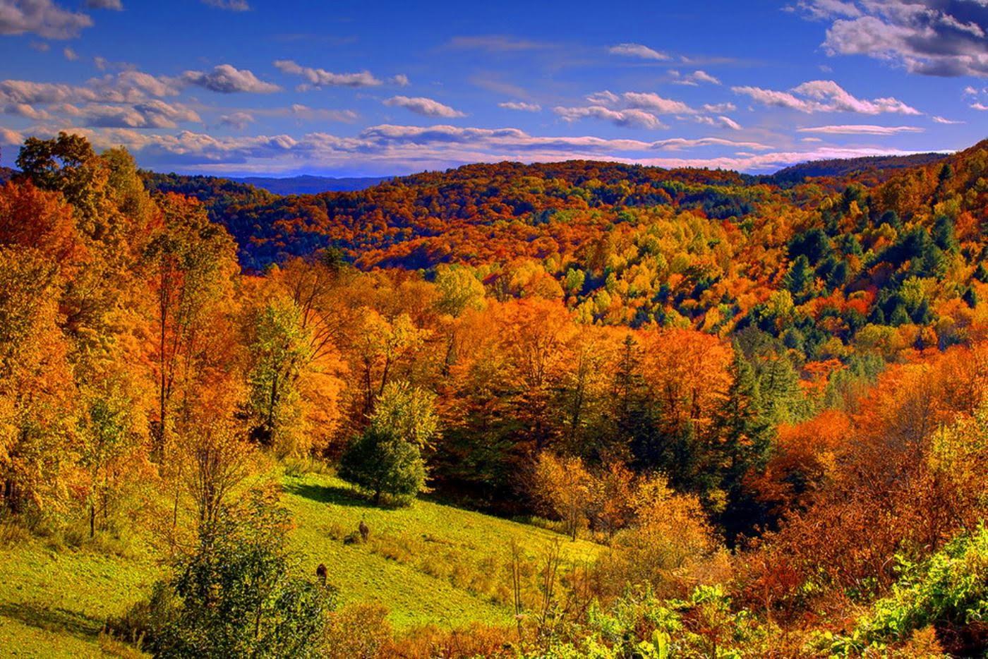 Vermont Summer Wallpapers Top Free Vermont Summer Backgrounds