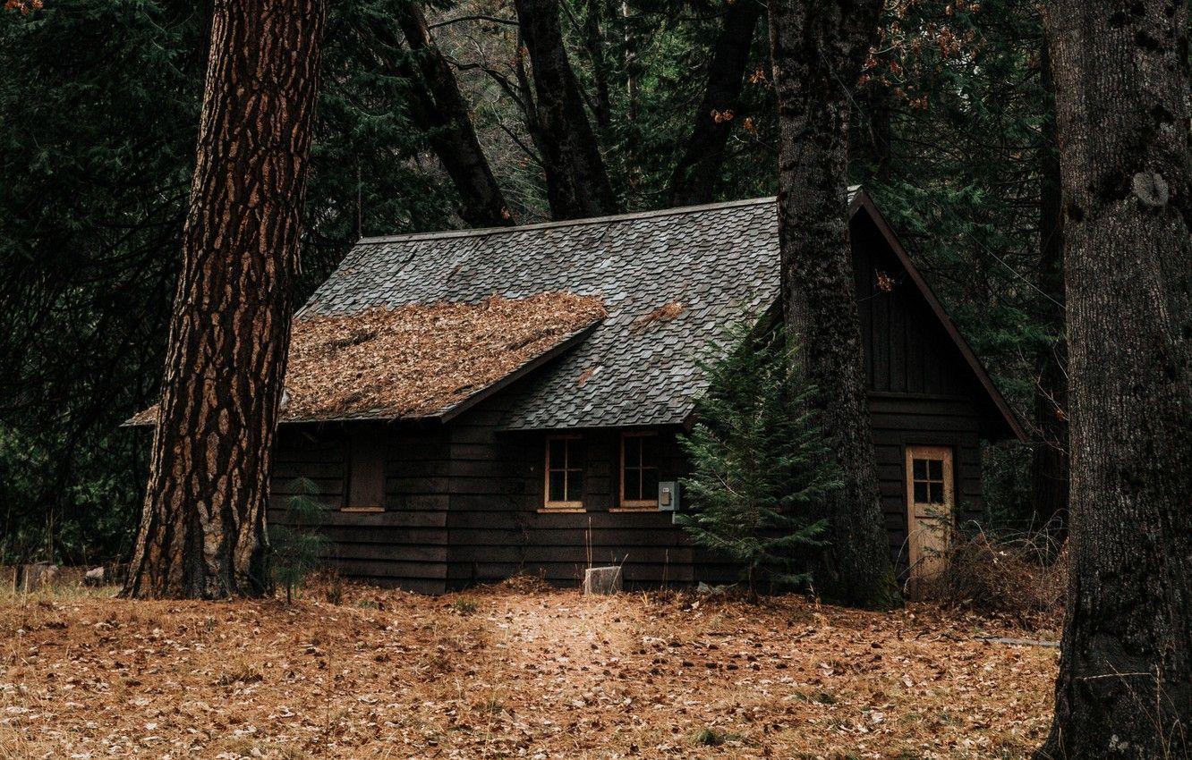 Forest Cabin Wallpapers Top Free Forest Cabin Backgrounds