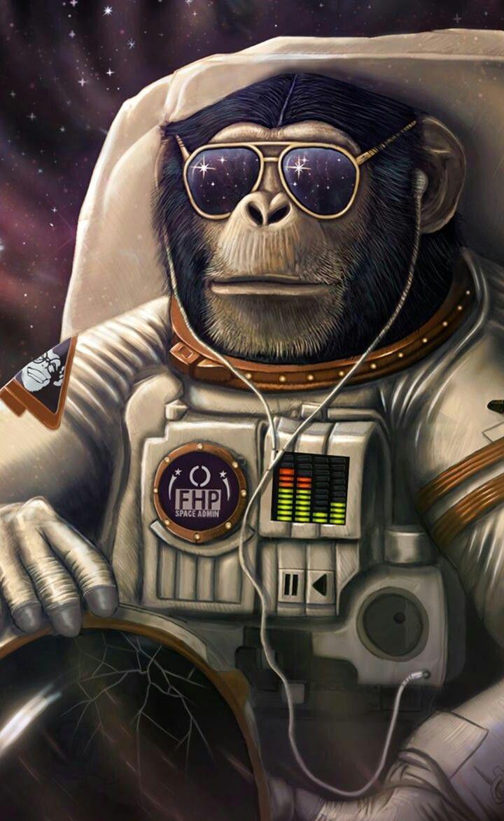 Monkey Astronaut Wallpapers Top Free Monkey Astronaut Backgrounds