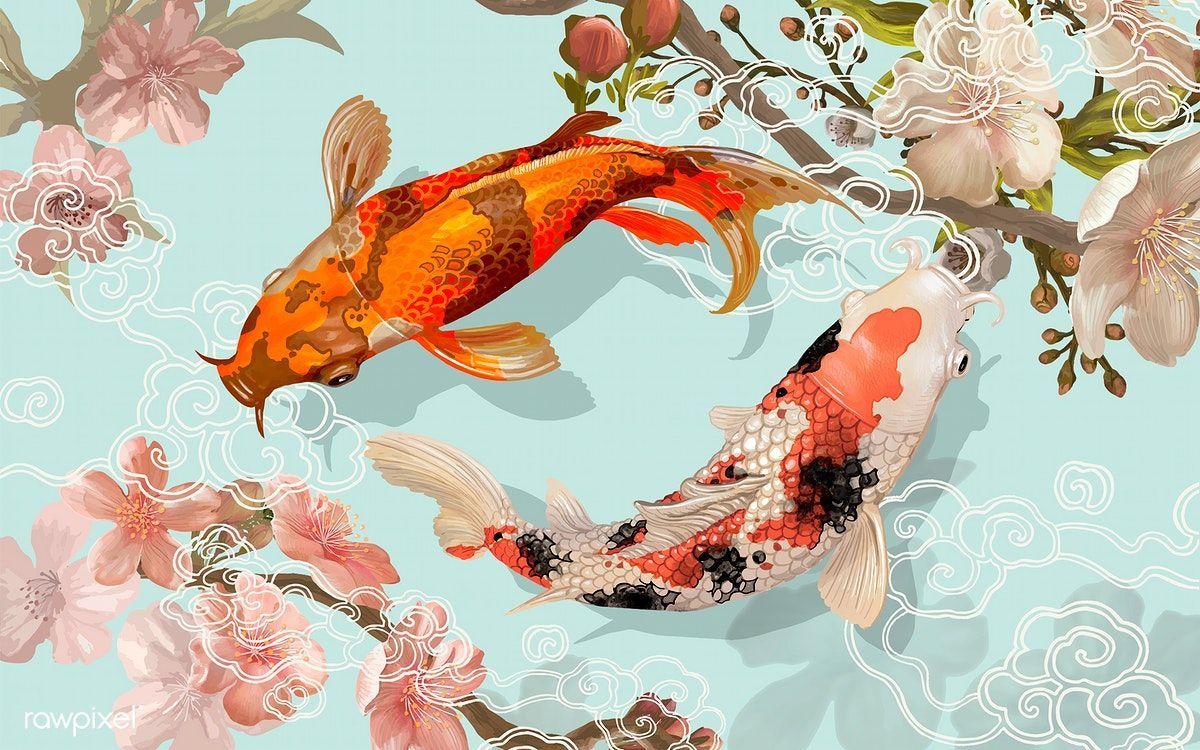 Fish Art Wallpapers Top Free Fish Art Backgrounds Wallpaperaccess