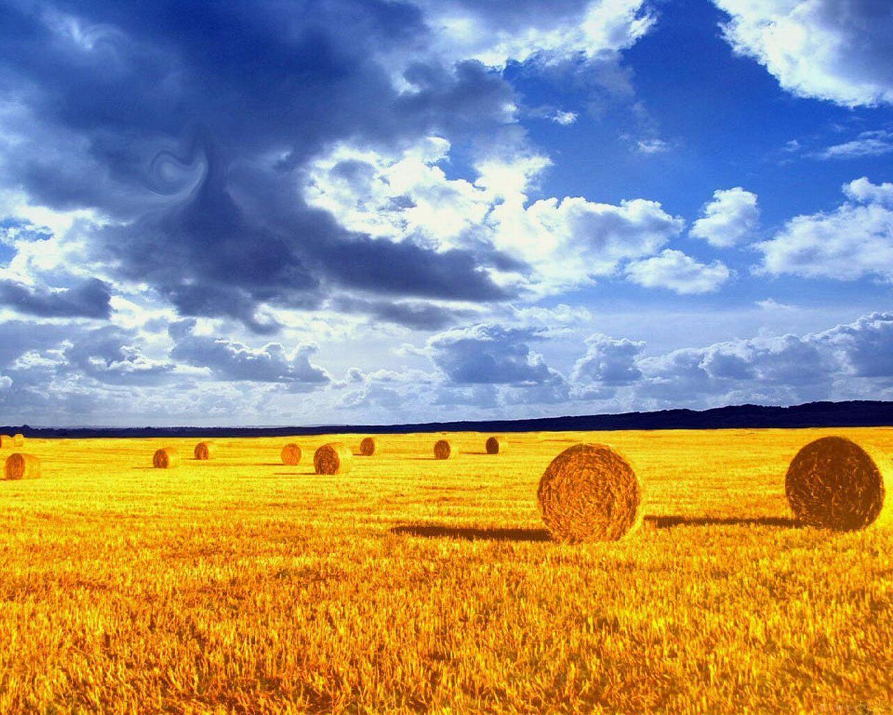Hay Field Wallpapers Top Free Hay Field Backgrounds Wallpaperaccess