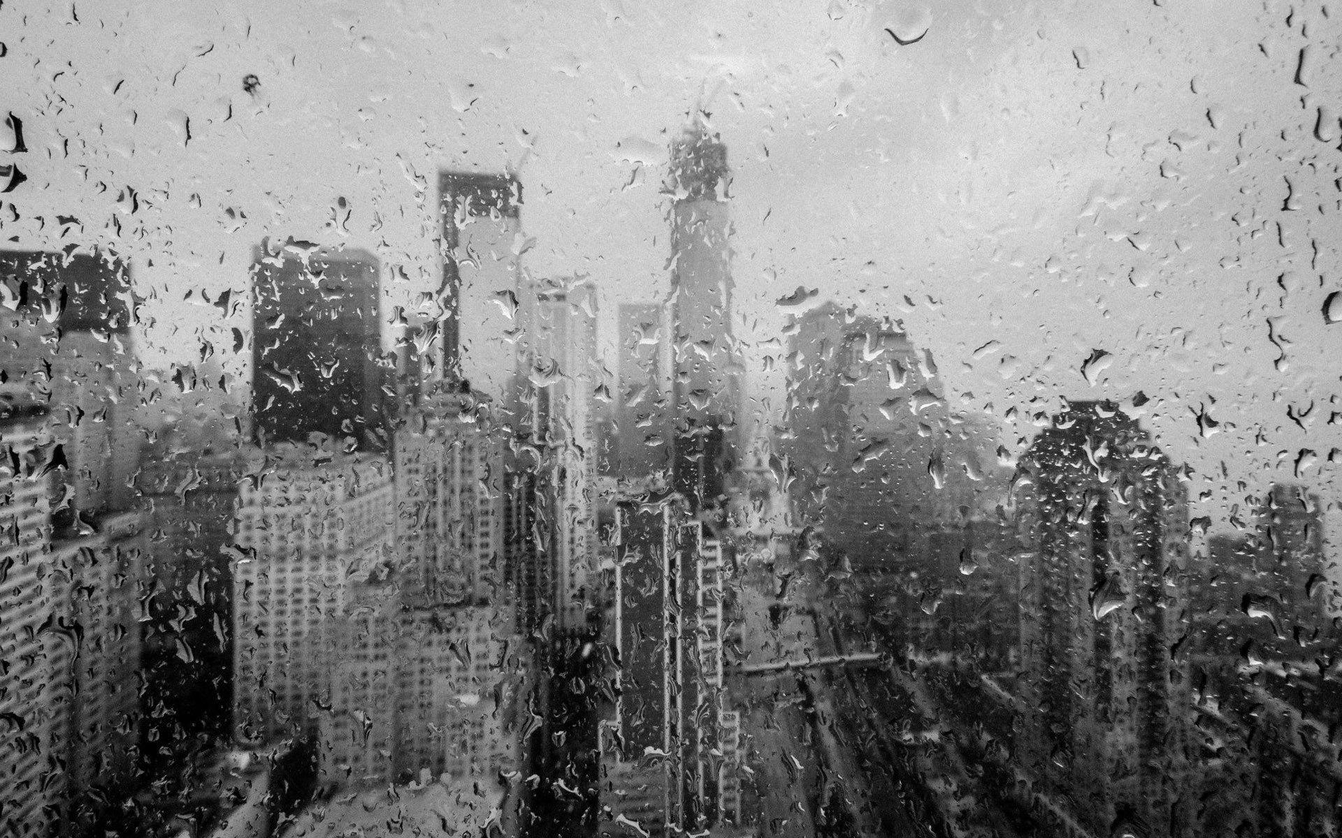 Rain On Window Wallpapers Top Free Rain On Window Backgrounds