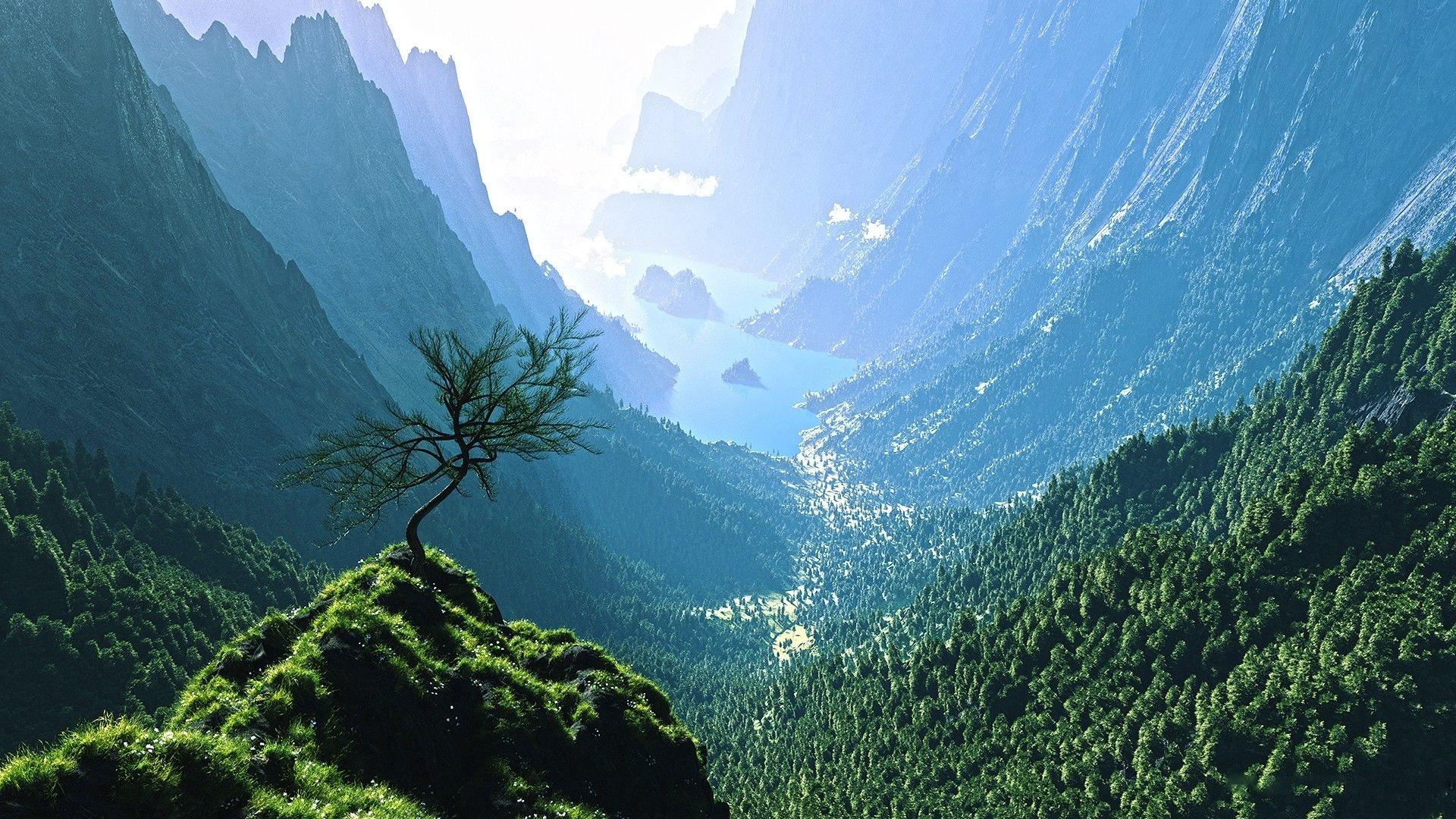 Mountain Forest Wallpapers Top Những Hình Ảnh Đẹp