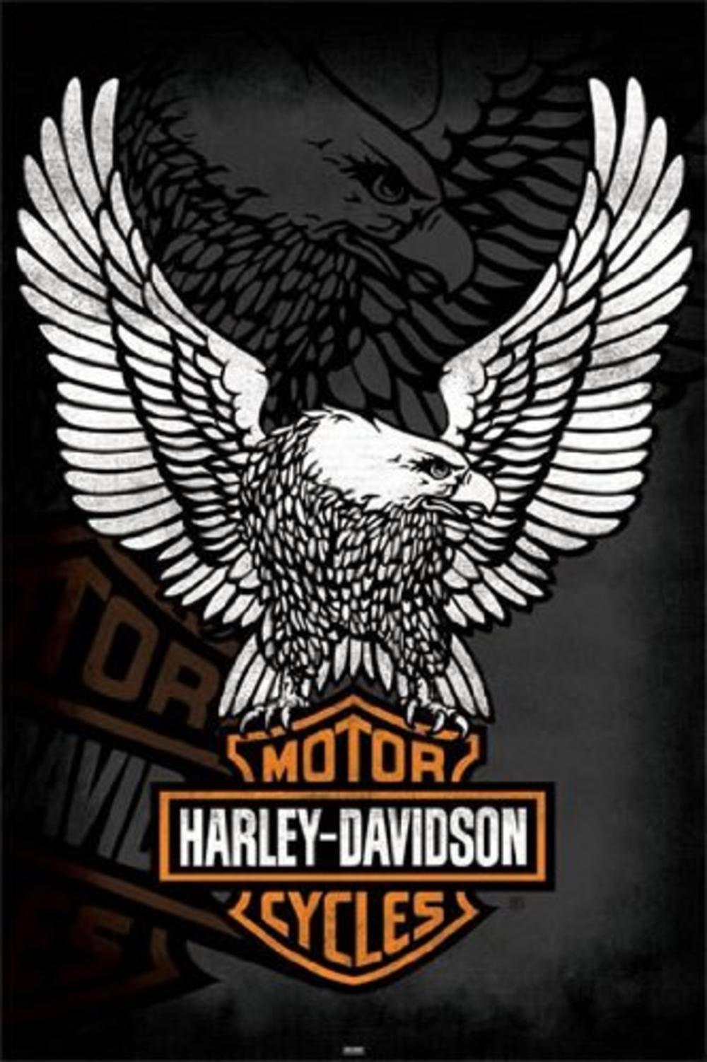 Harley Davidson Eagle Wallpapers Top Free Harley Davidson Eagle