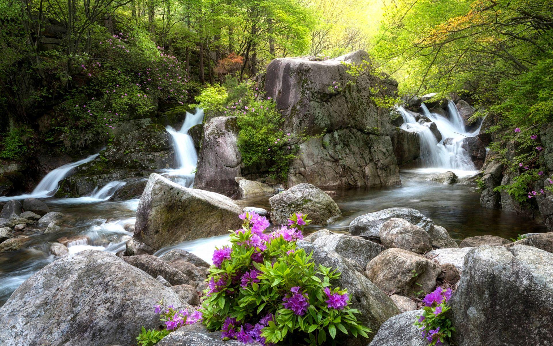 Spring Waterfall Wallpapers Top Free Spring Waterfall Backgrounds Wallpaperaccess