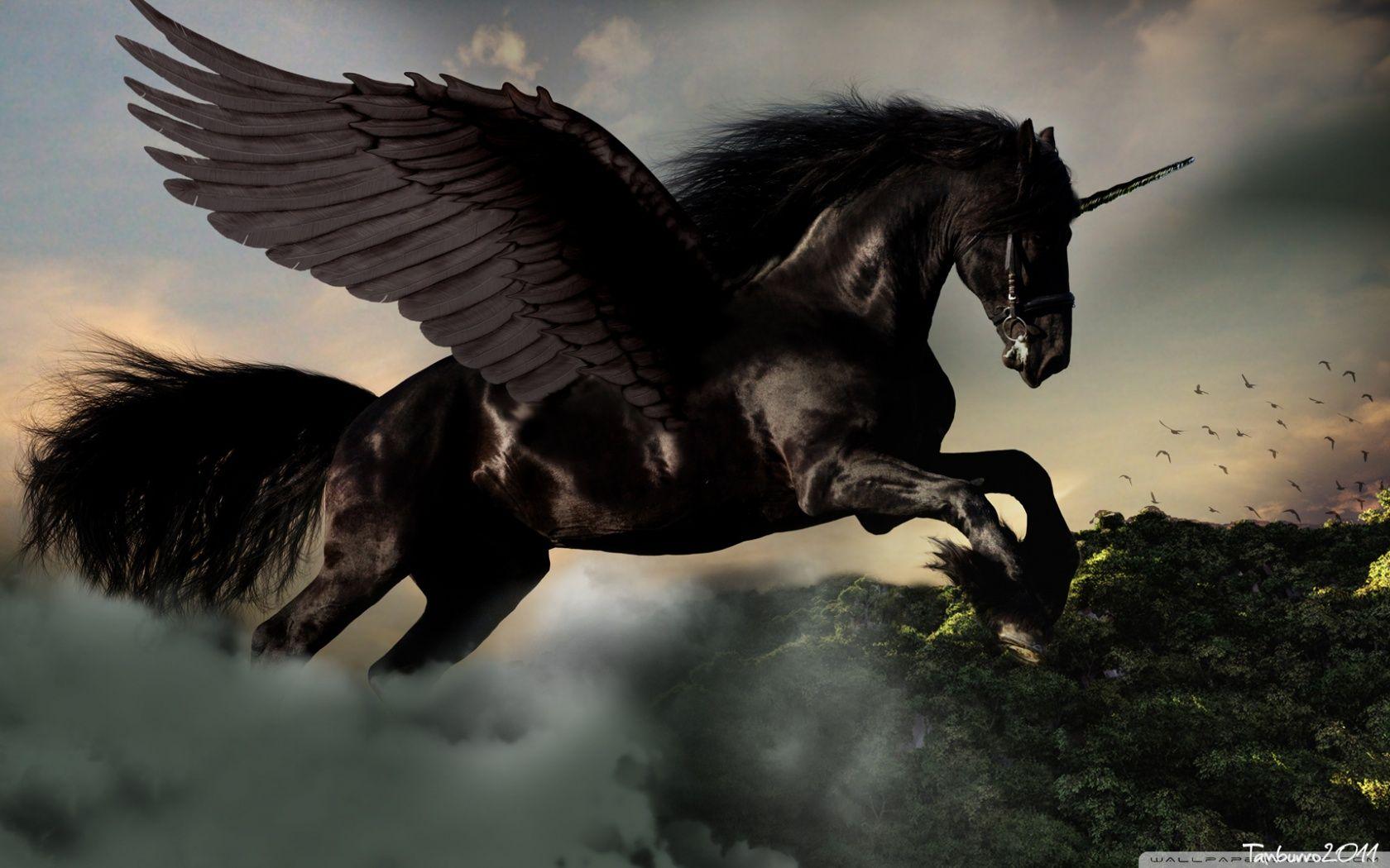 Dark Pegasus Wallpapers Top Free Dark Pegasus Backgrounds