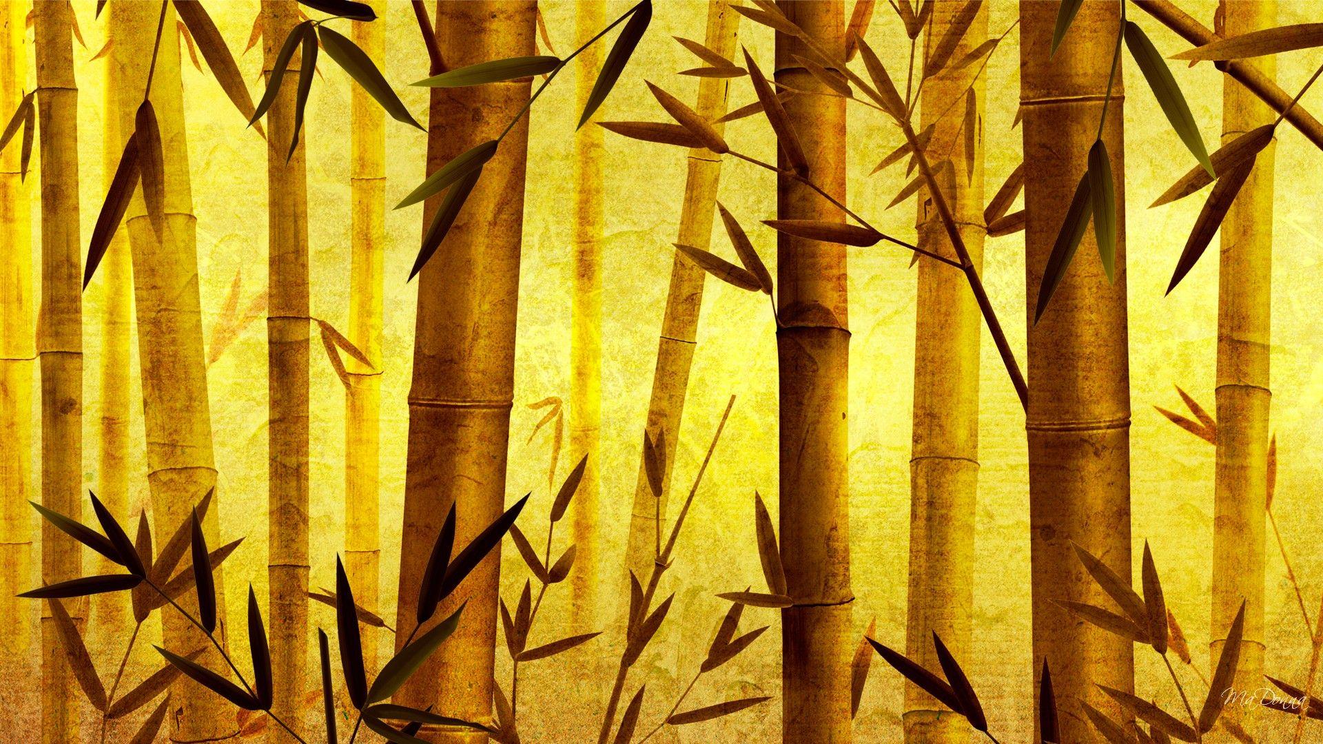 Chinese Bamboo Wallpapers Top Nh Ng H Nh Nh P