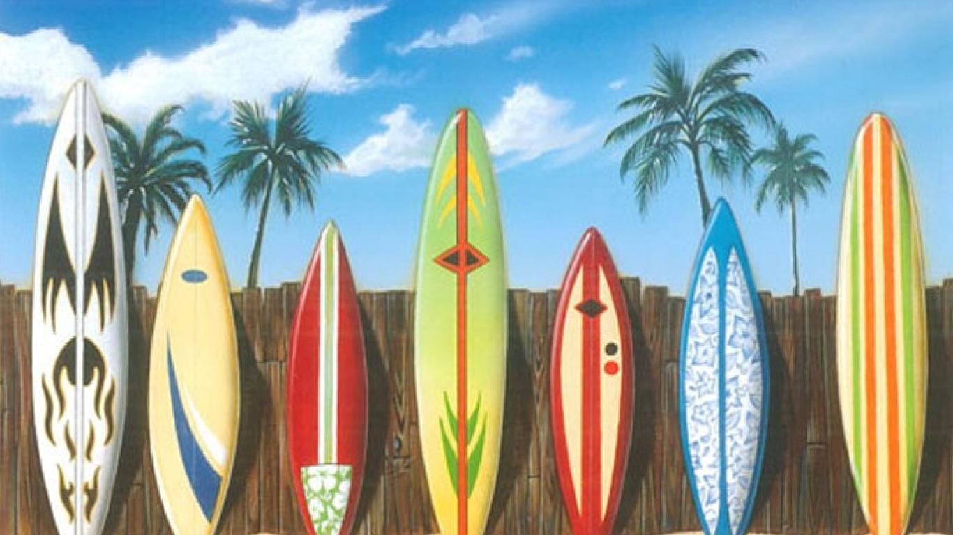 Catch The Fresh Surfboard Wallpaper Border Marvelous Vrogue Co