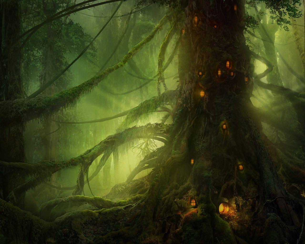 Elven Forest Wallpapers Top Free Elven Forest Backgrounds