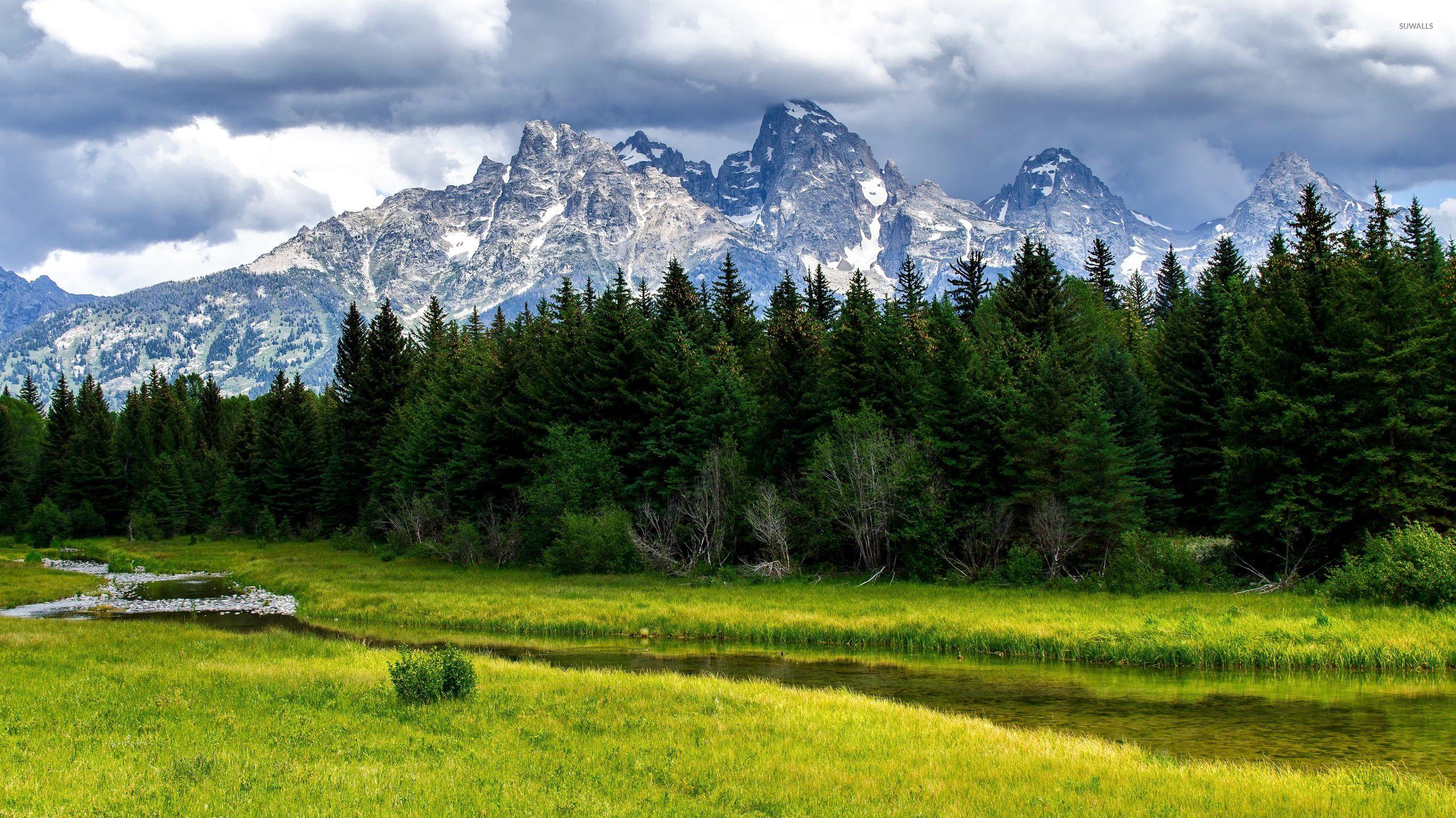 Mountain Meadow Wallpapers Top Free Mountain Meadow Backgrounds