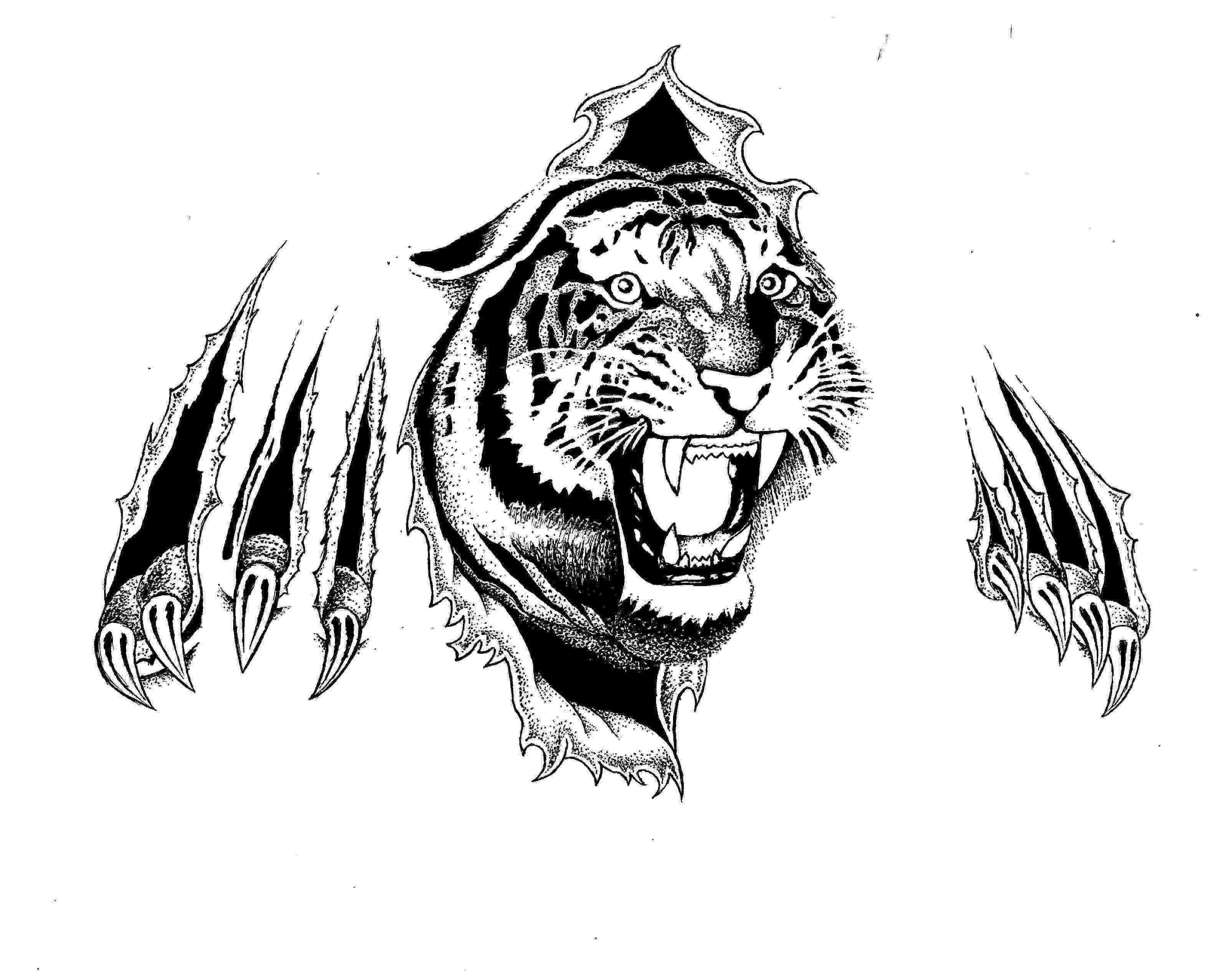 Art Tiger Tattoo Wallpapers Top Nh Ng H Nh Nh P