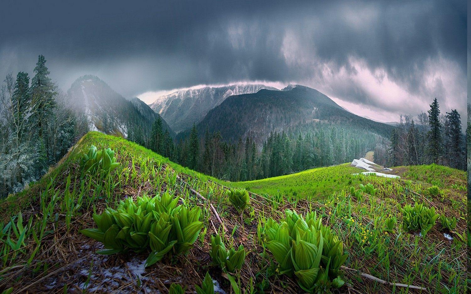 Rainy Mountain Wallpapers Top Free Rainy Mountain Backgrounds Wallpaperaccess