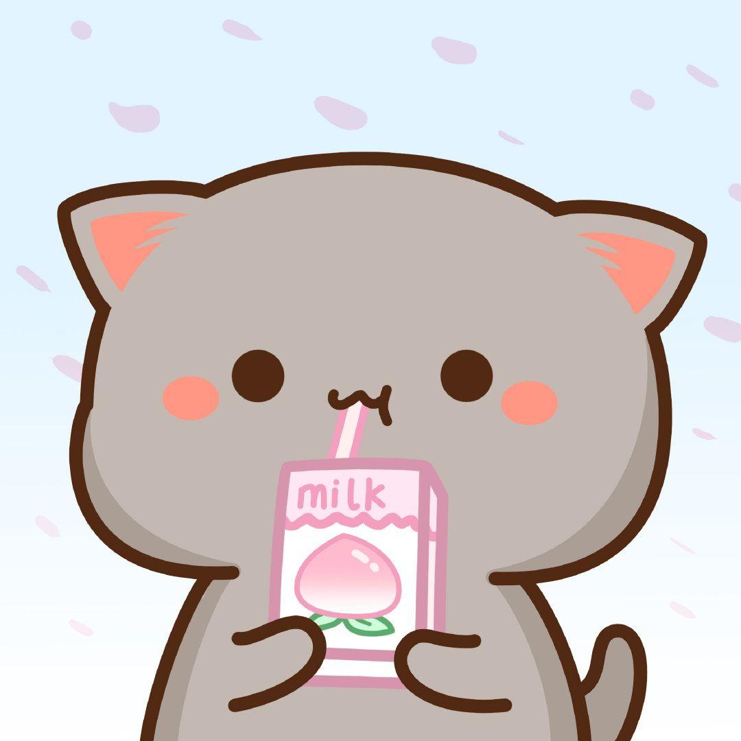 Cute Anime Chibi Kawaii Anime Girl Face Stickers Cat Vrogue Co