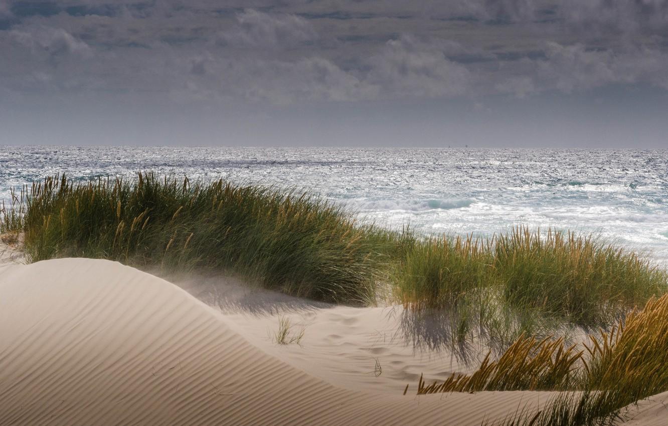 Beach Dunes Wallpaper