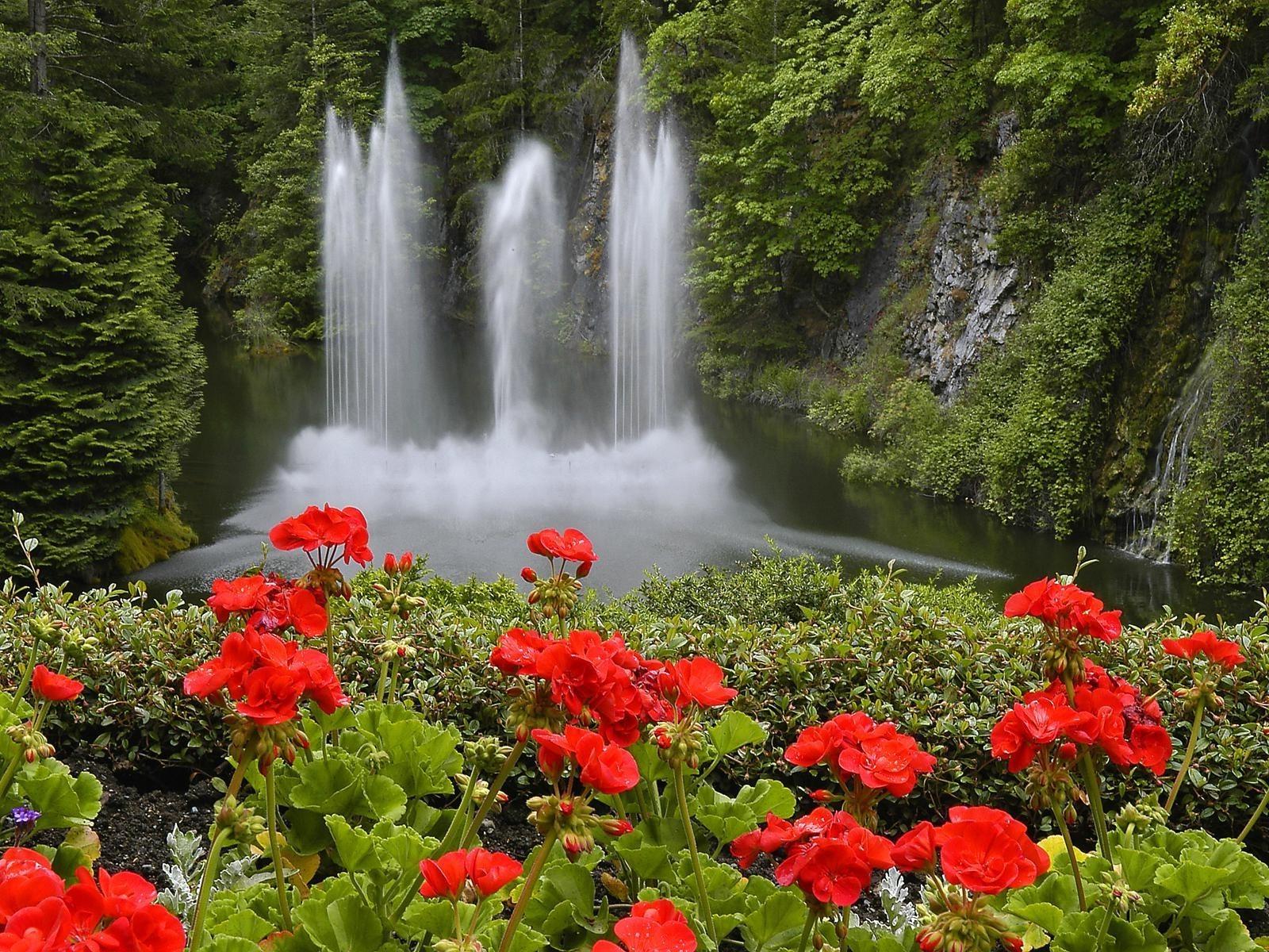 Flower Waterfall Wallpapers Top Free Flower Waterfall Backgrounds