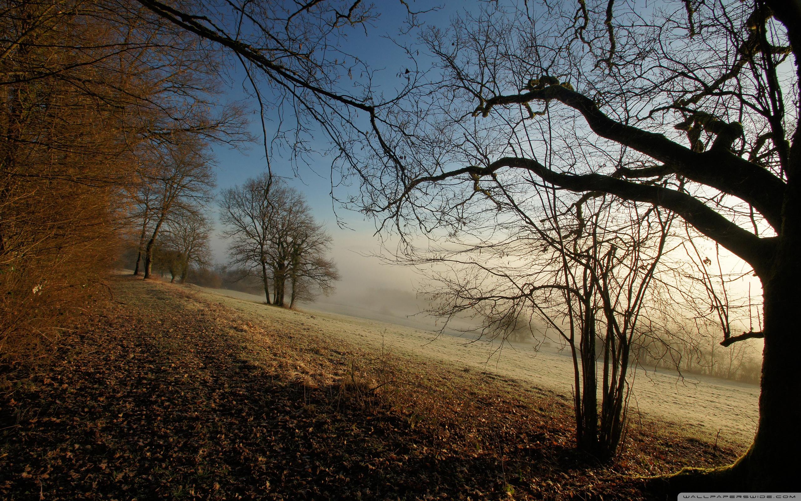 Foggy Autumn Wallpapers Top Free Foggy Autumn Backgrounds