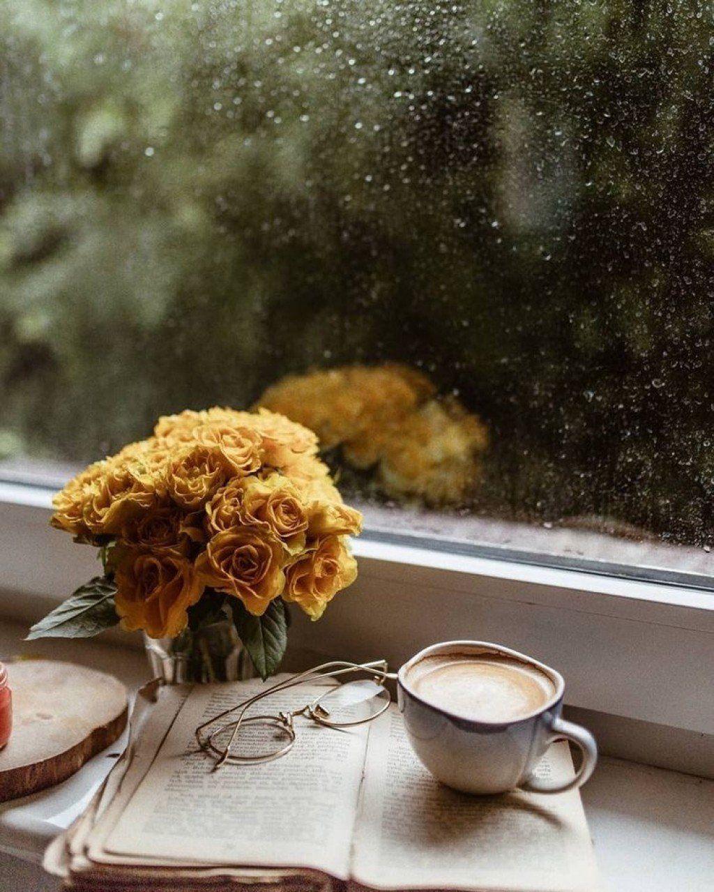 Cozy Rainy Day Wallpapers Top Free Cozy Rainy Day Backgrounds WallpaperAccess