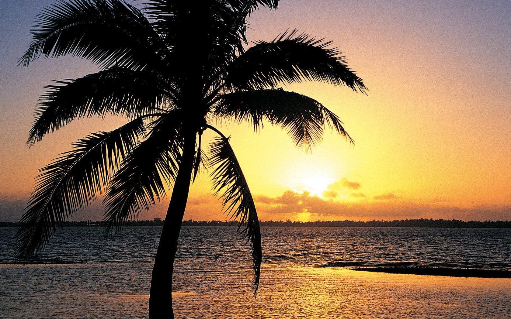 Tropical Island Sunset Wallpapers Top Free Tropical Island Sunset