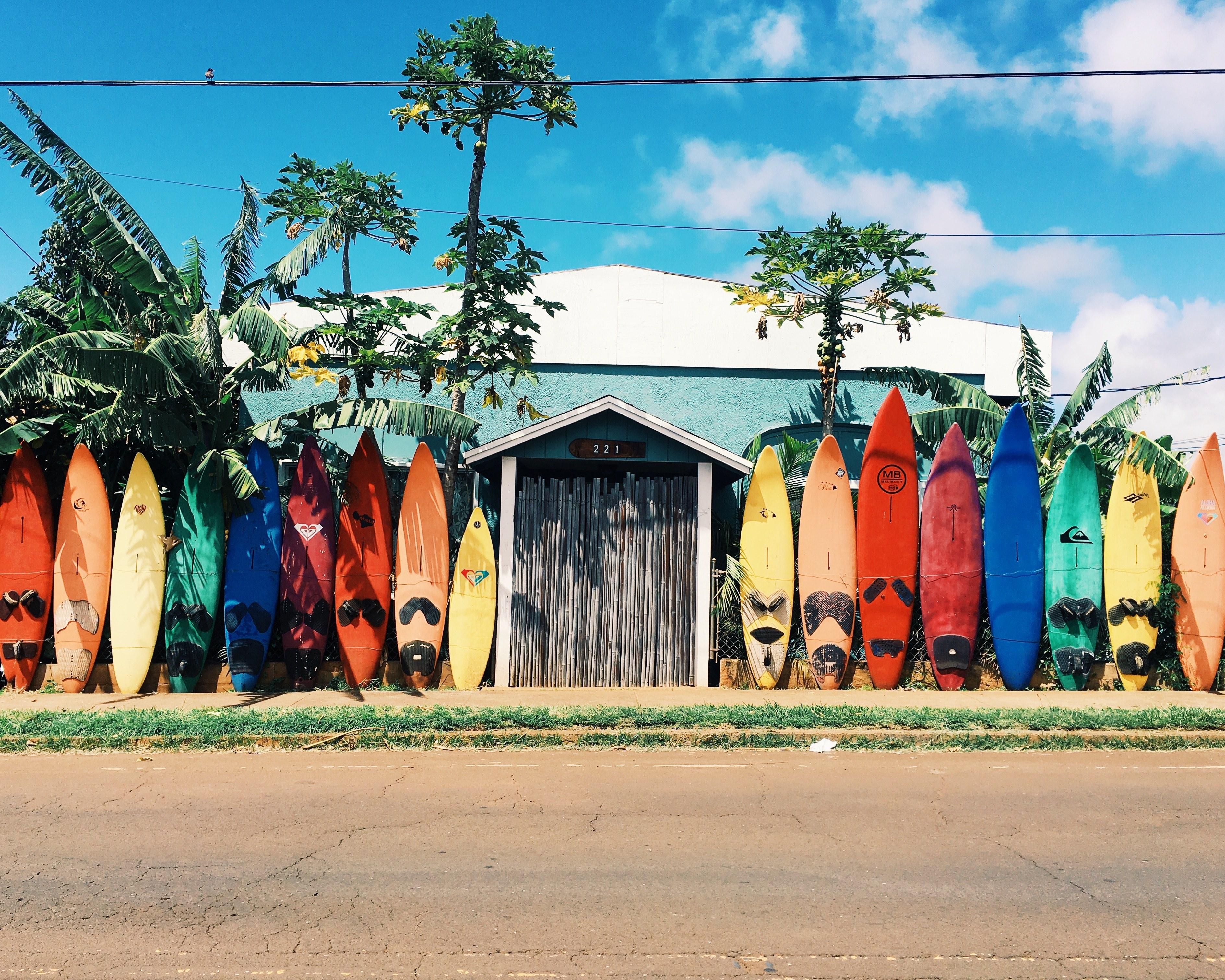 Colorful Surfboards Wallpapers Top Free Colorful Surfboards