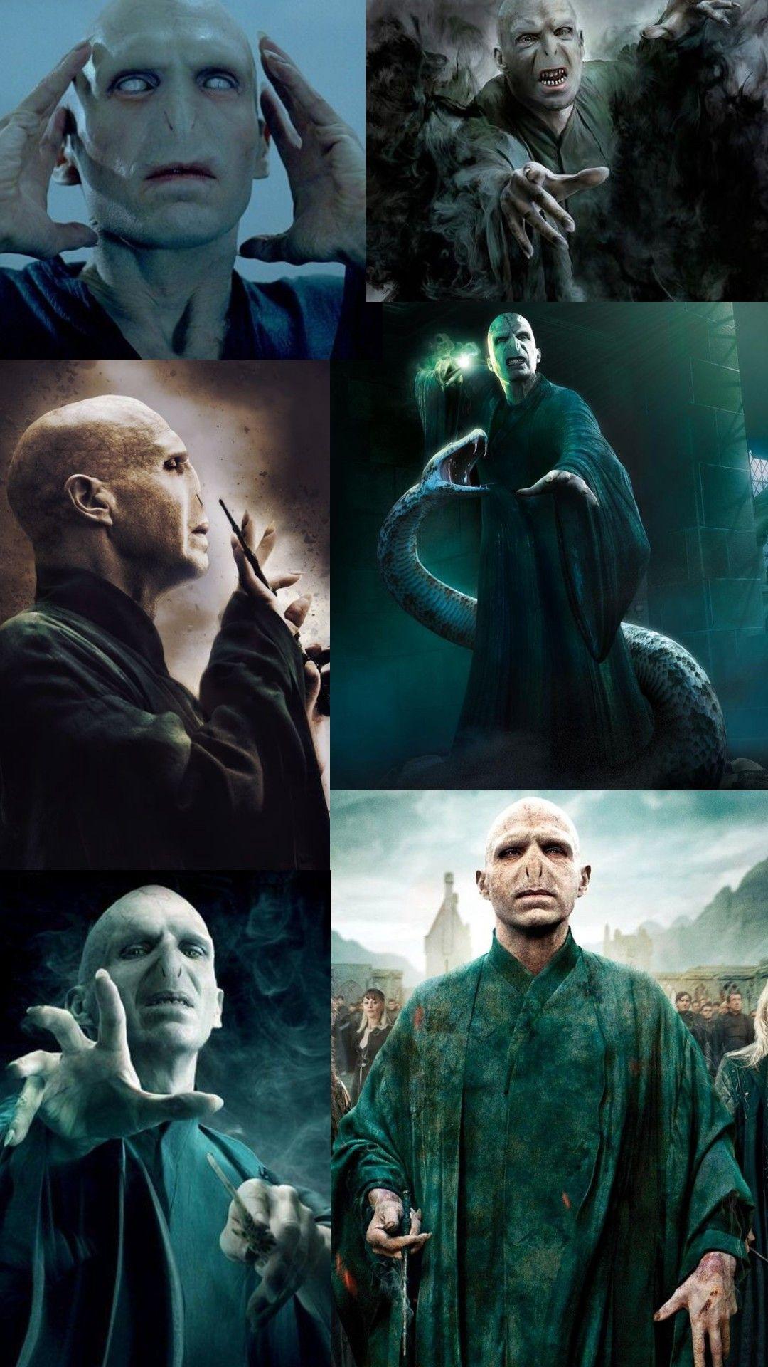 Harry Potter And Voldemort Wallpapers Top Free Harry Potter And