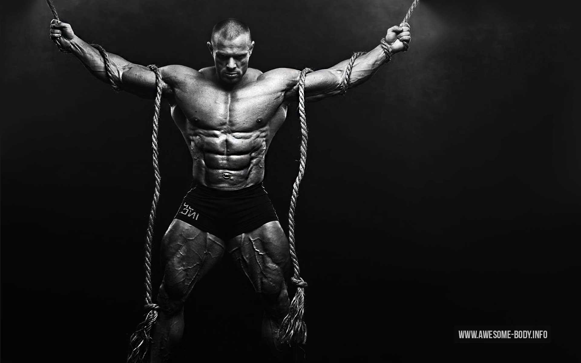 Bodybuilding Mobile Wallpapers Top Free Bodybuilding Mobile