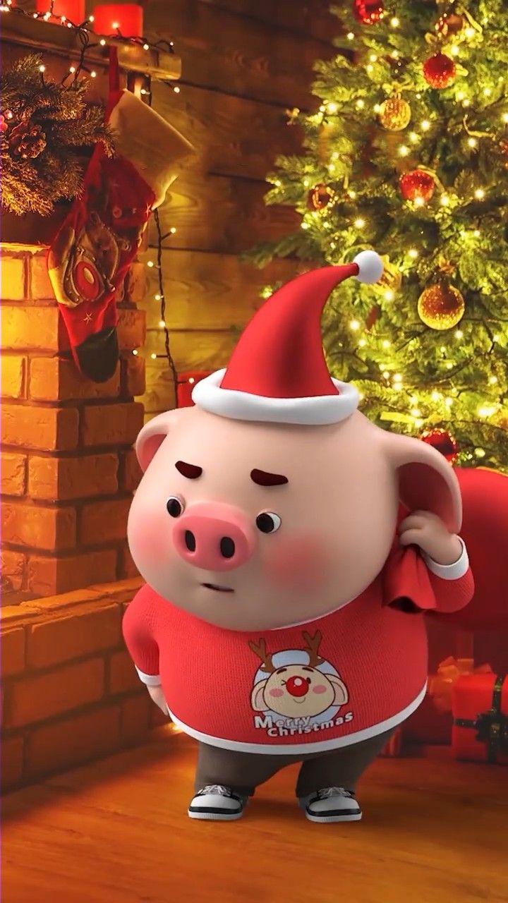 Christmas Pig Wallpapers Top Free Christmas Pig Backgrounds