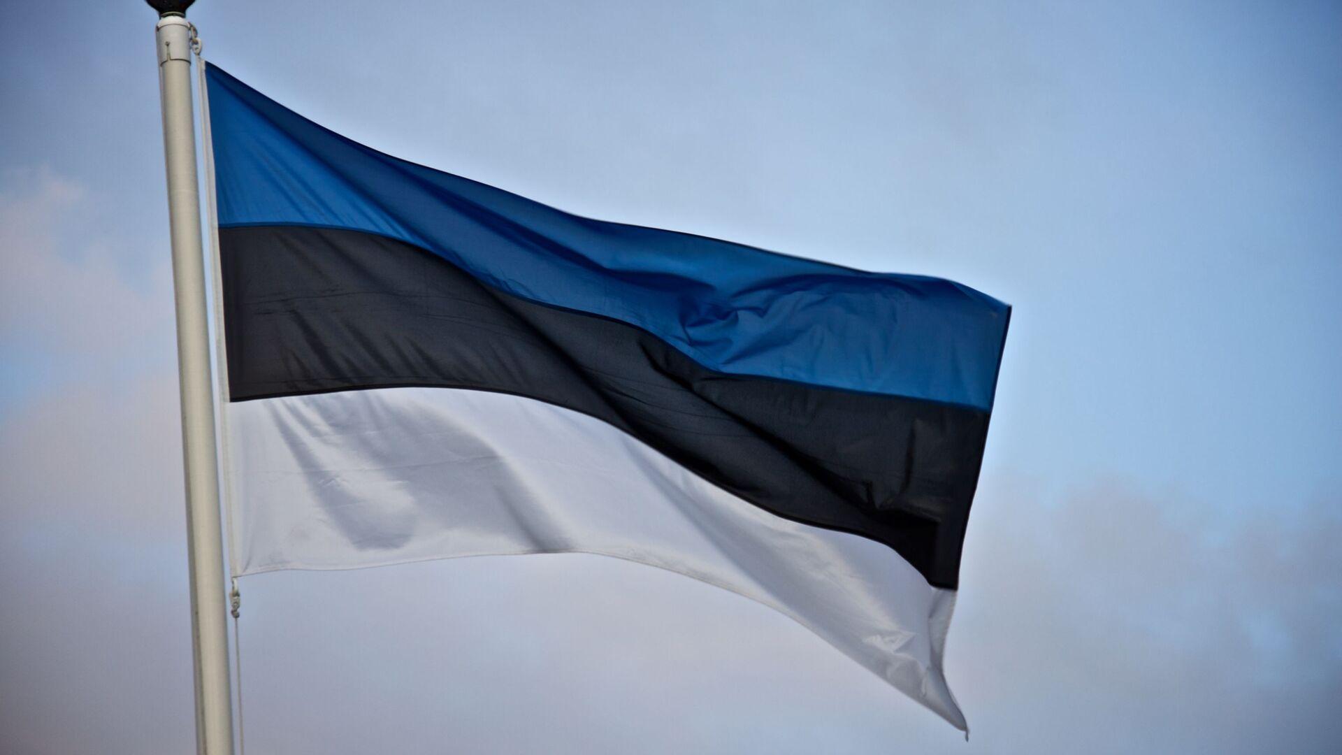 Estonia Flag HD Wallpapers Top Free Estonia Flag HD Backgrounds