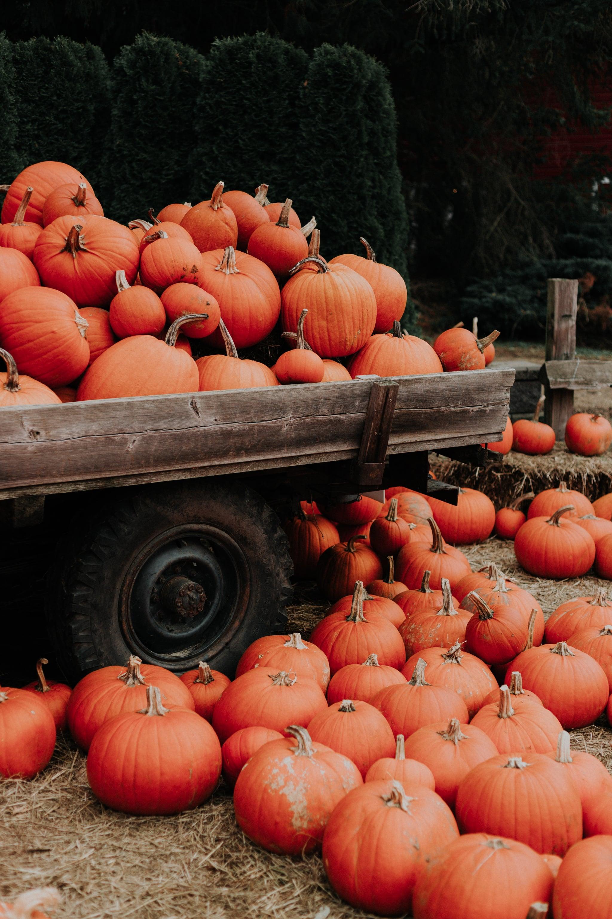 Harvest Time Wallpapers Top Free Harvest Time Backgrounds