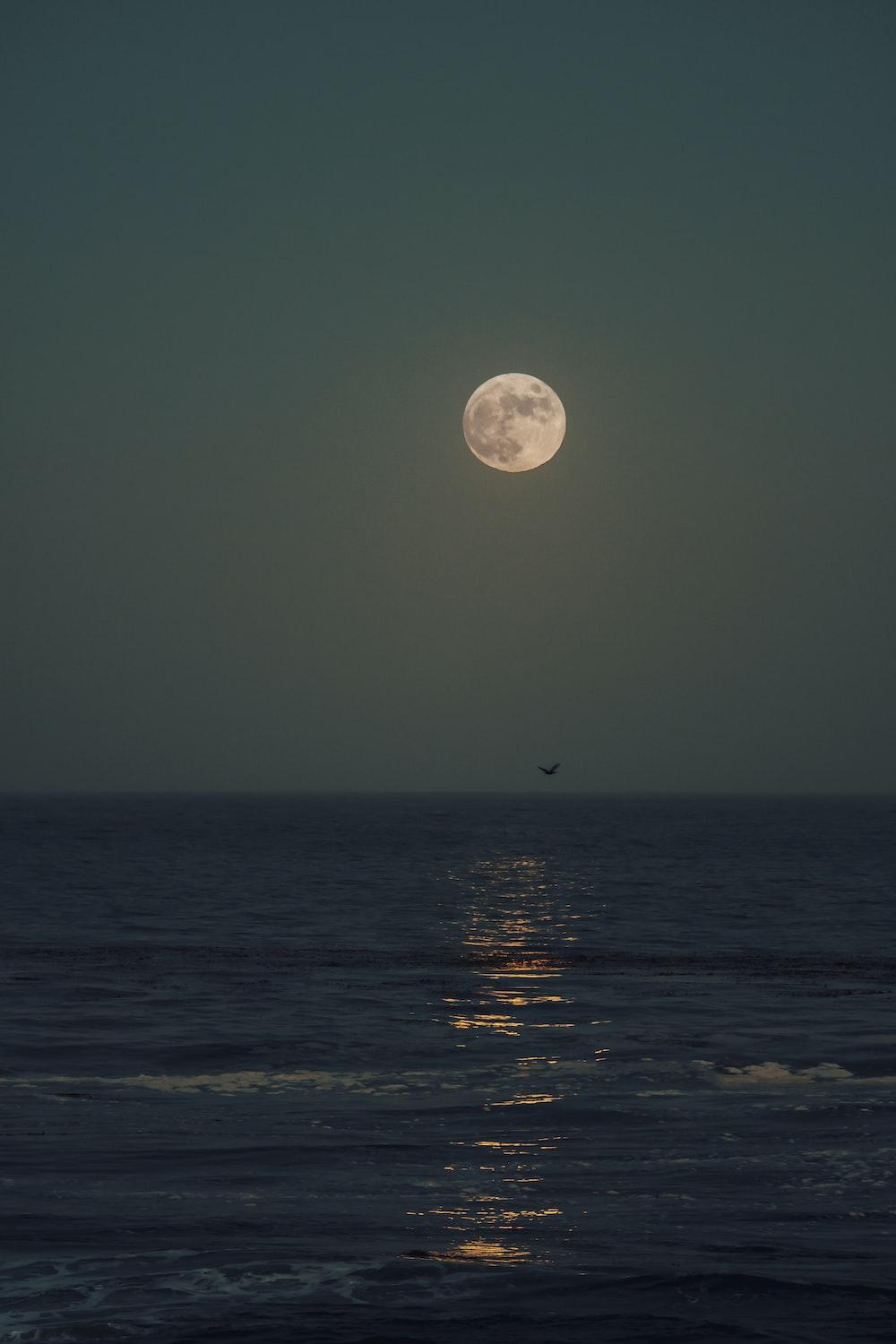 Moon Over Ocean Wallpapers Top Free Moon Over Ocean Backgrounds