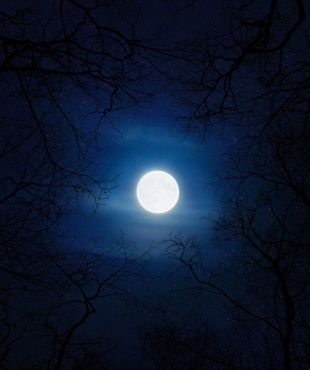 Blue Sky Moon Wallpapers Top Free Blue Sky Moon Backgrounds