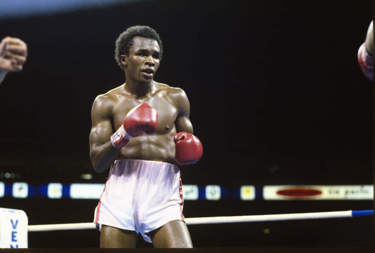 Sugar Ray Leonard Wallpapers Top Free Sugar Ray Leonard Backgrounds