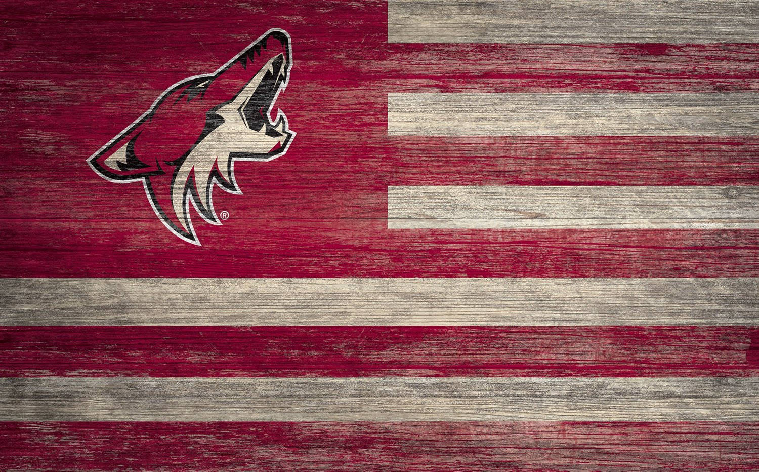 Arizona Coyotes Wallpapers Top Free Arizona Coyotes Backgrounds