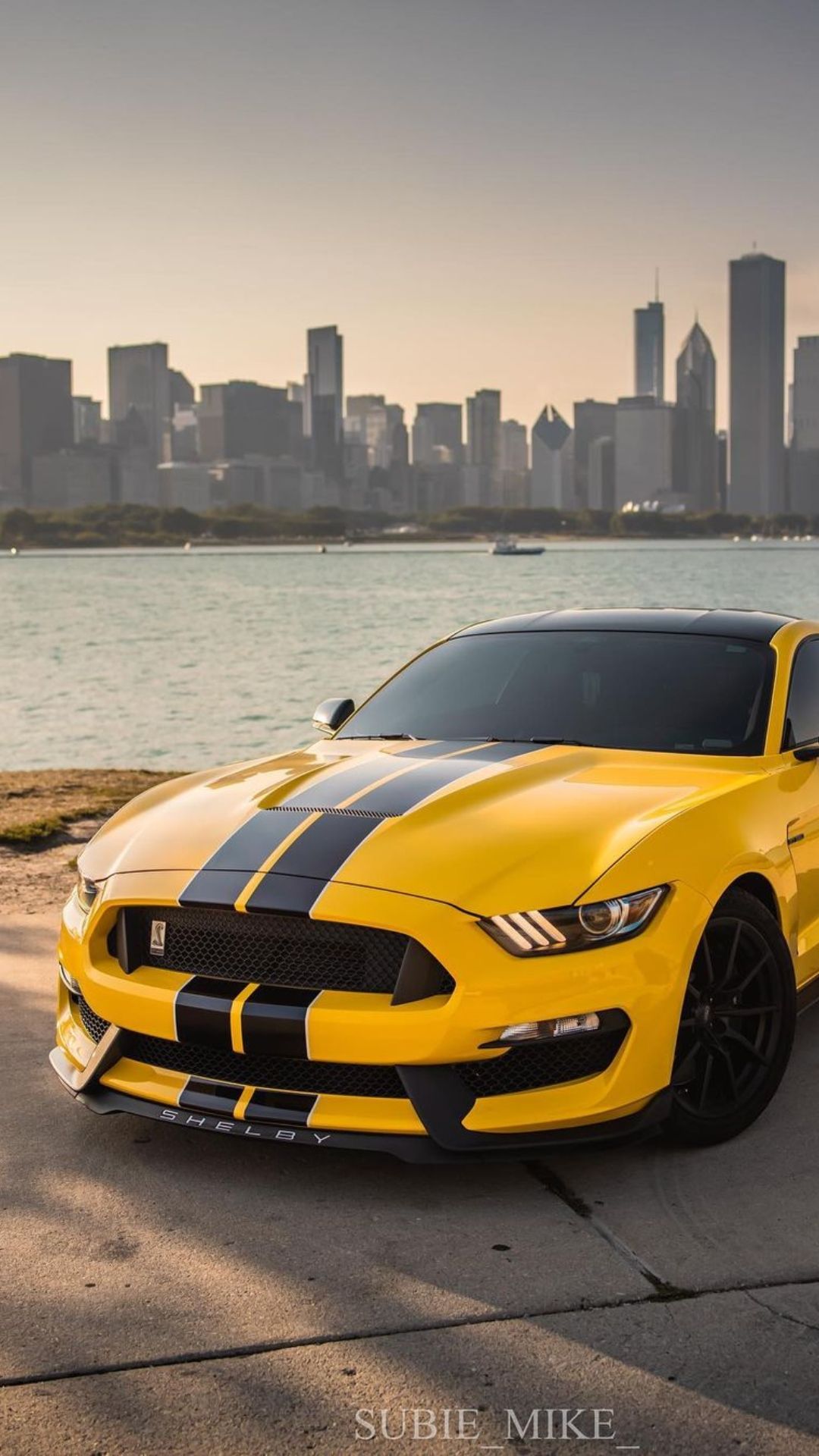 Yellow Mustang Wallpapers Top Free Yellow Mustang Backgrounds